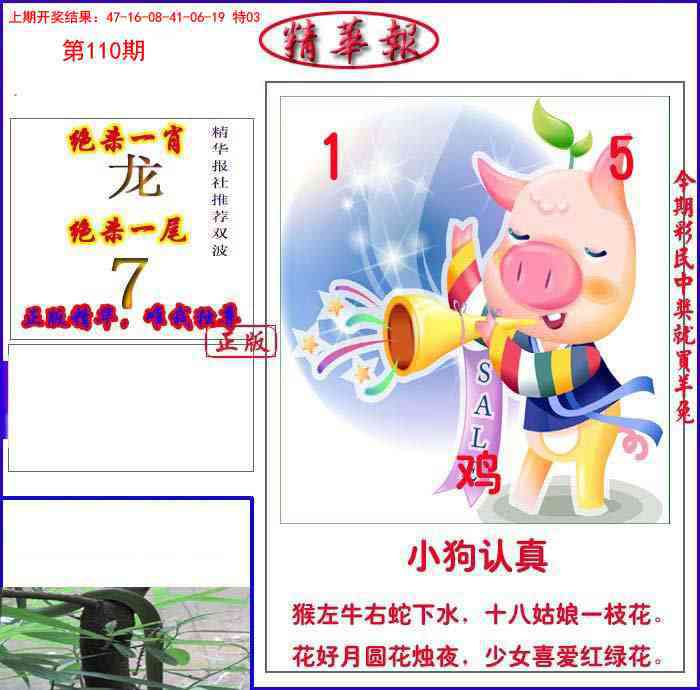 110期新精华报报[图]