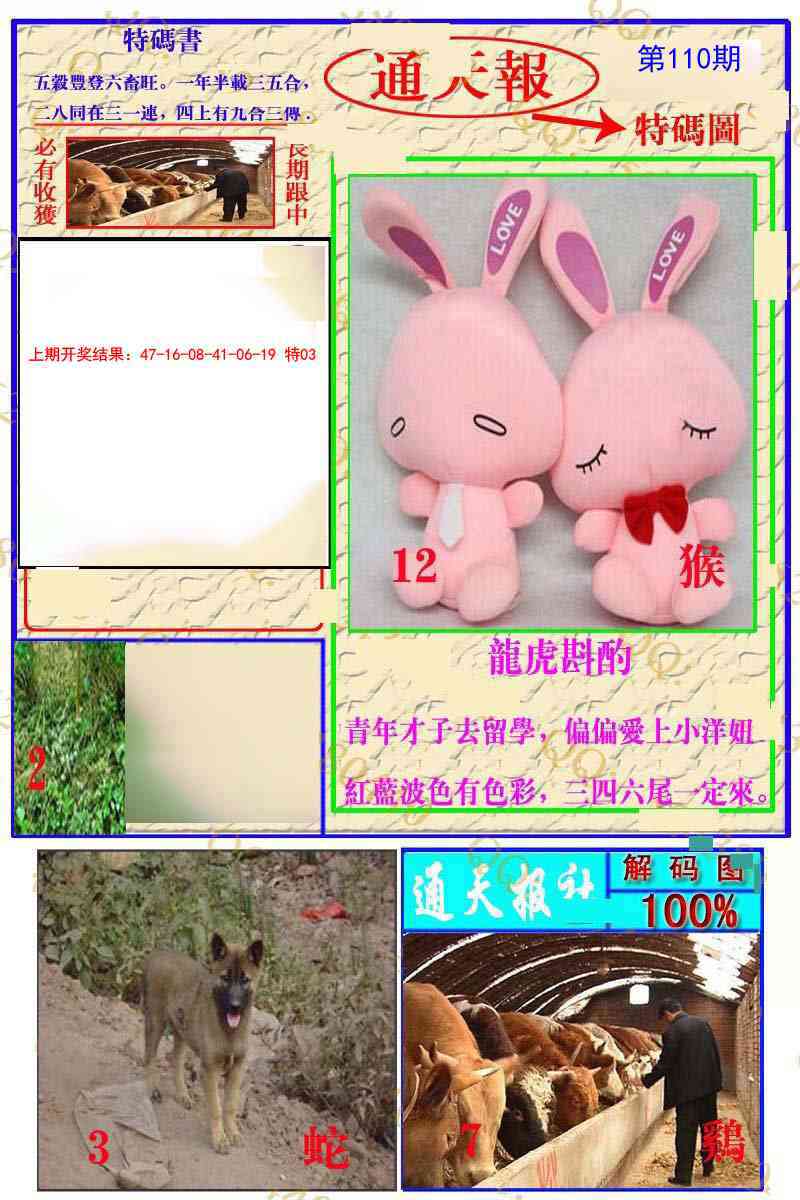 110期通天特解图[图]