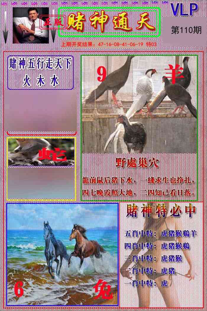 110期赌神通天报[图]