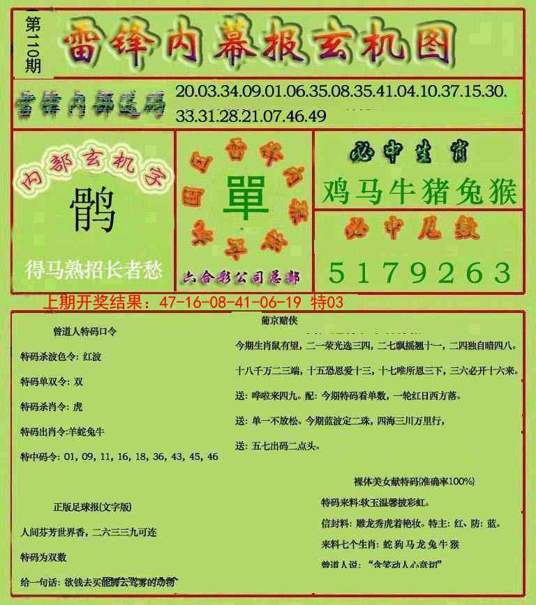 110期雷锋玄机报[图]