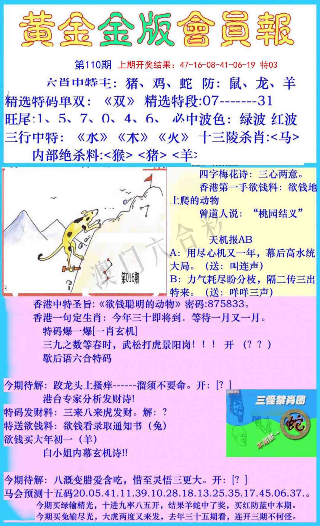 110期黄金金版会员报[图]