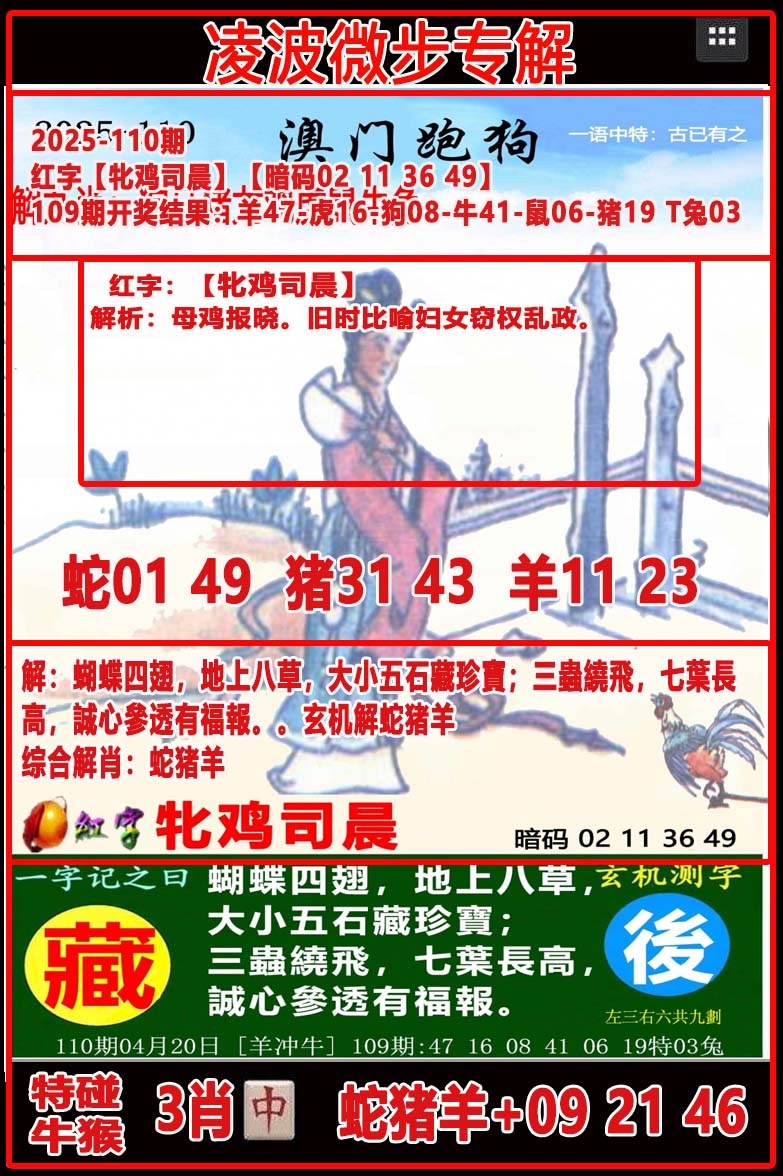 110期凌波微步[图]