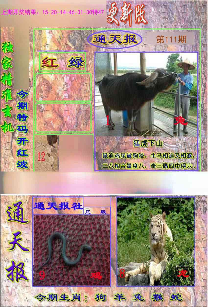 111期新通报[图]