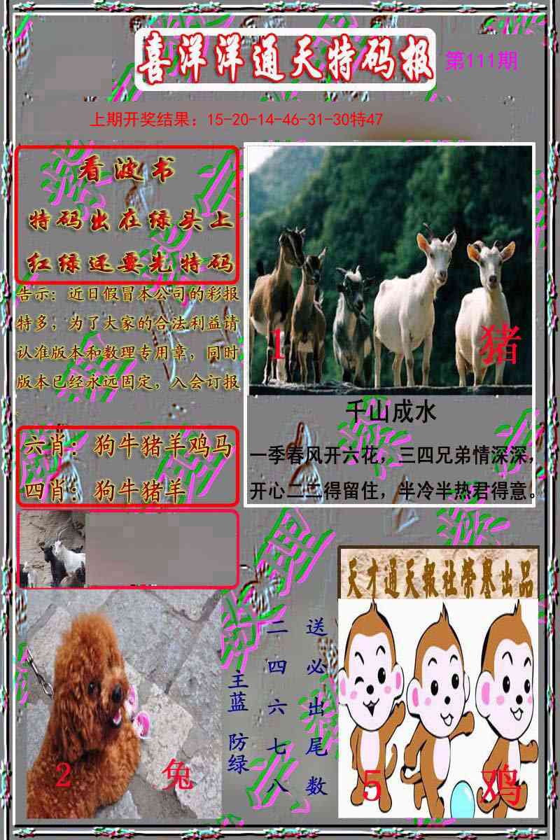 111期洋通报[图]