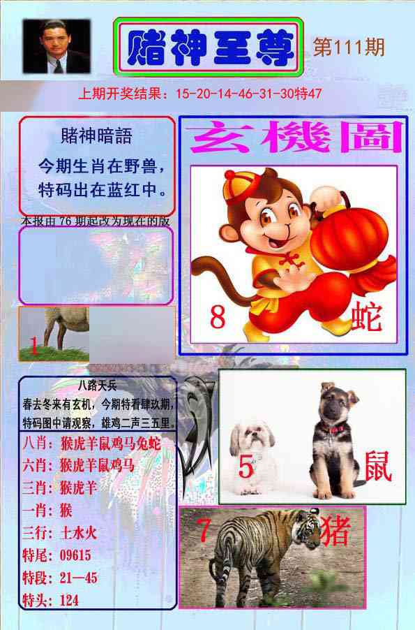 111期赌神至尊[图]