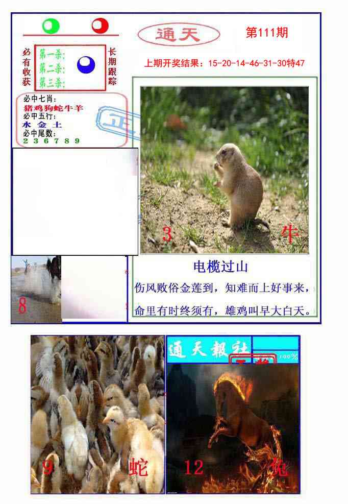 111期通天杀波图2[图]