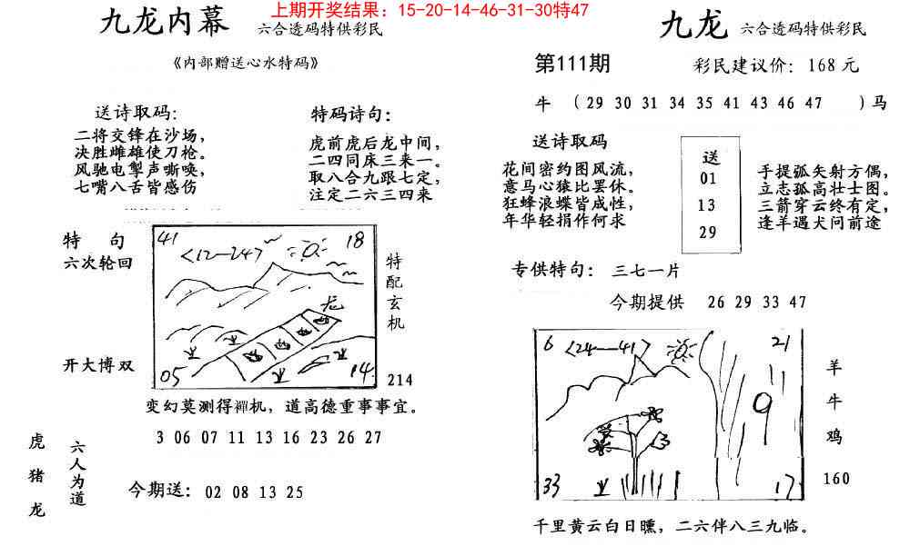 111期九龙内幕[图]