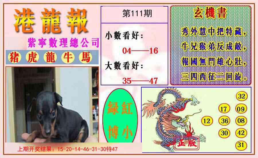 111期港龙报[图]