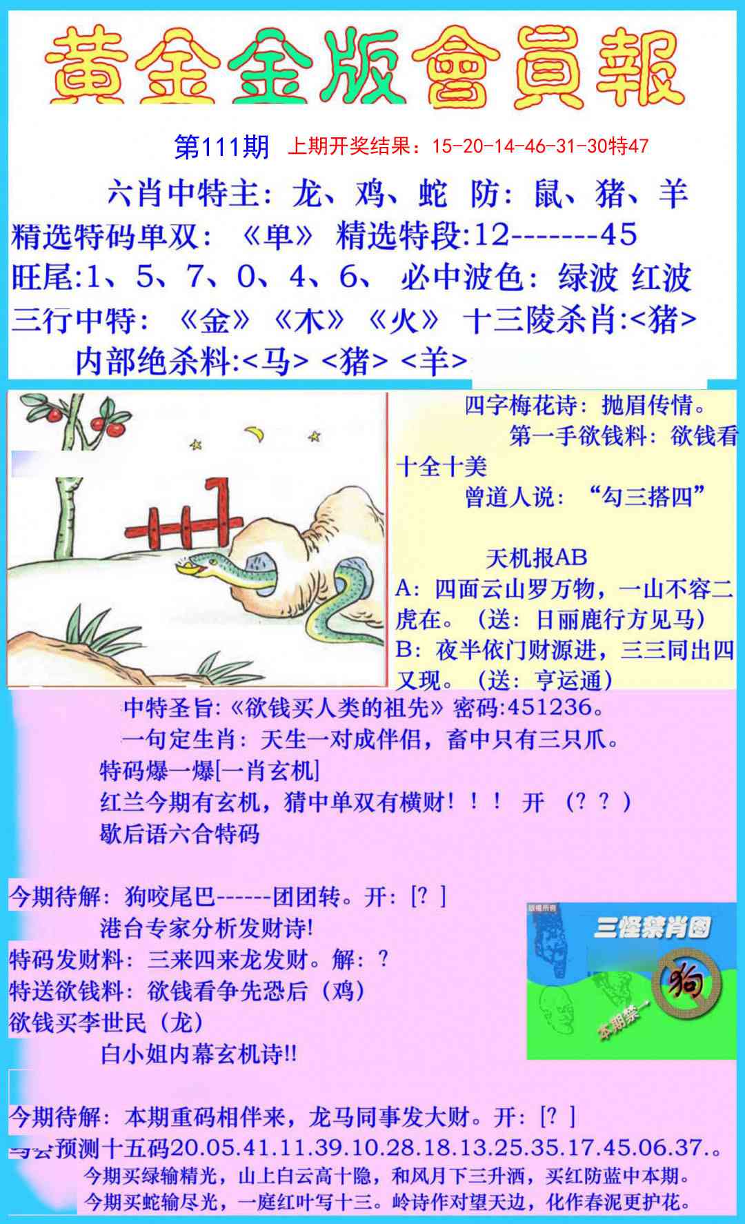 111期黄金金版会员报[图]