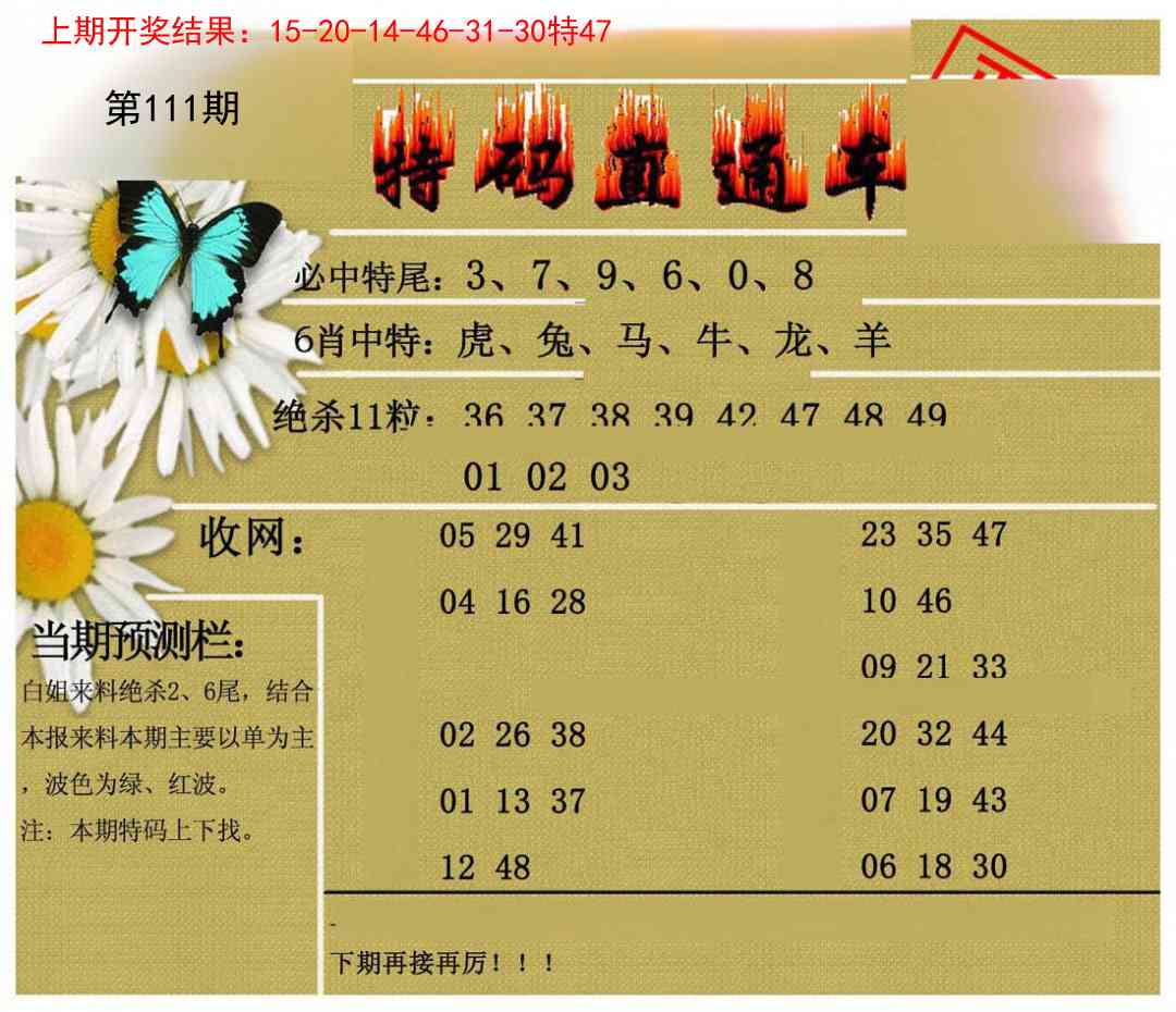 111期特码直通车[图]