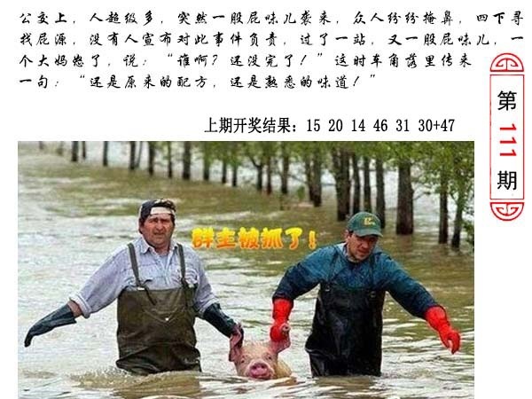 111期澳门生活幽默[图]