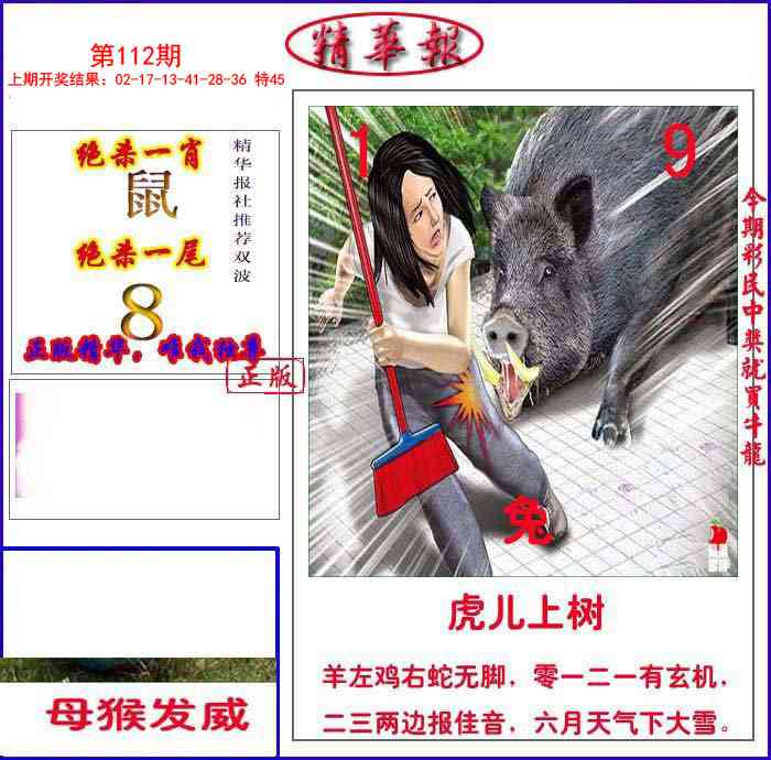 112期新精华报报[图]