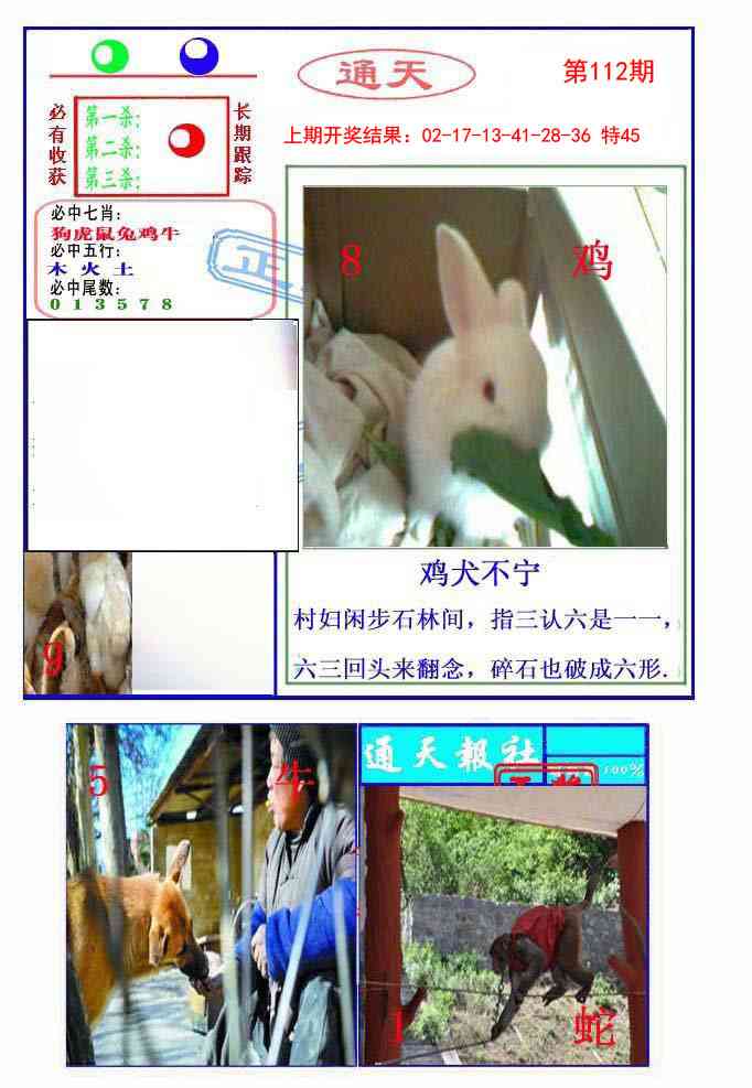 112期通天杀波图2[图]