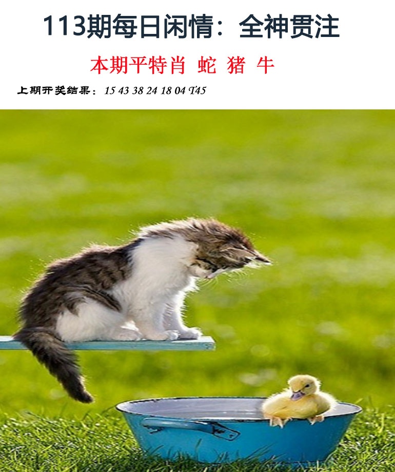 113期每日闲情[图]