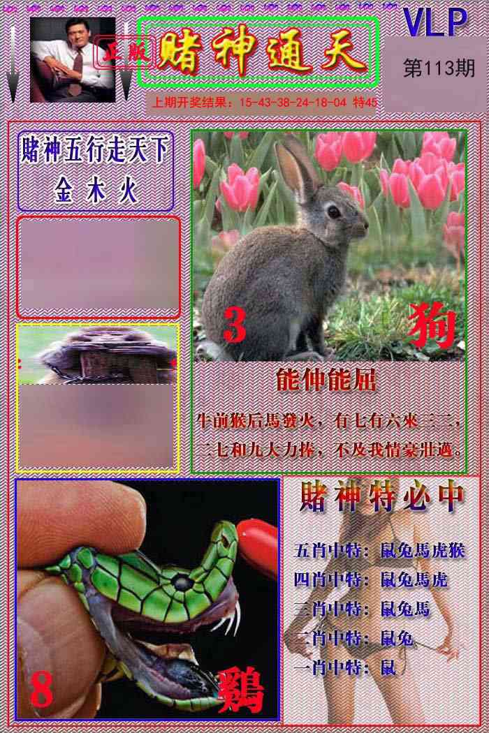 113期赌神通天报[图]