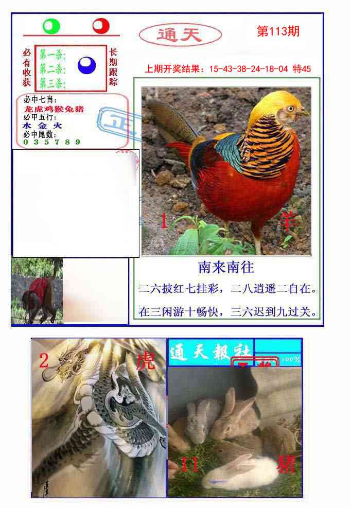 113期通天杀波图2[图]