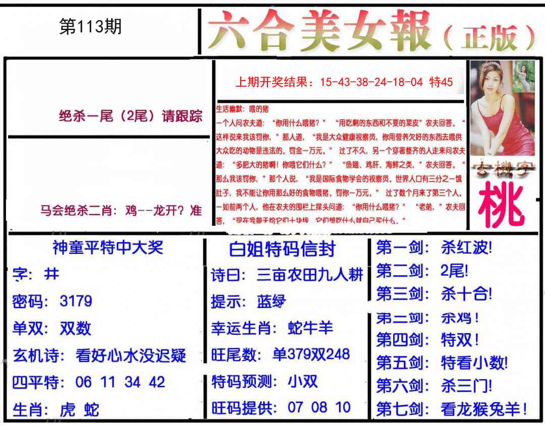 113期美女报[图]