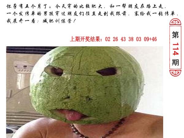 114期澳门生活幽默[图]