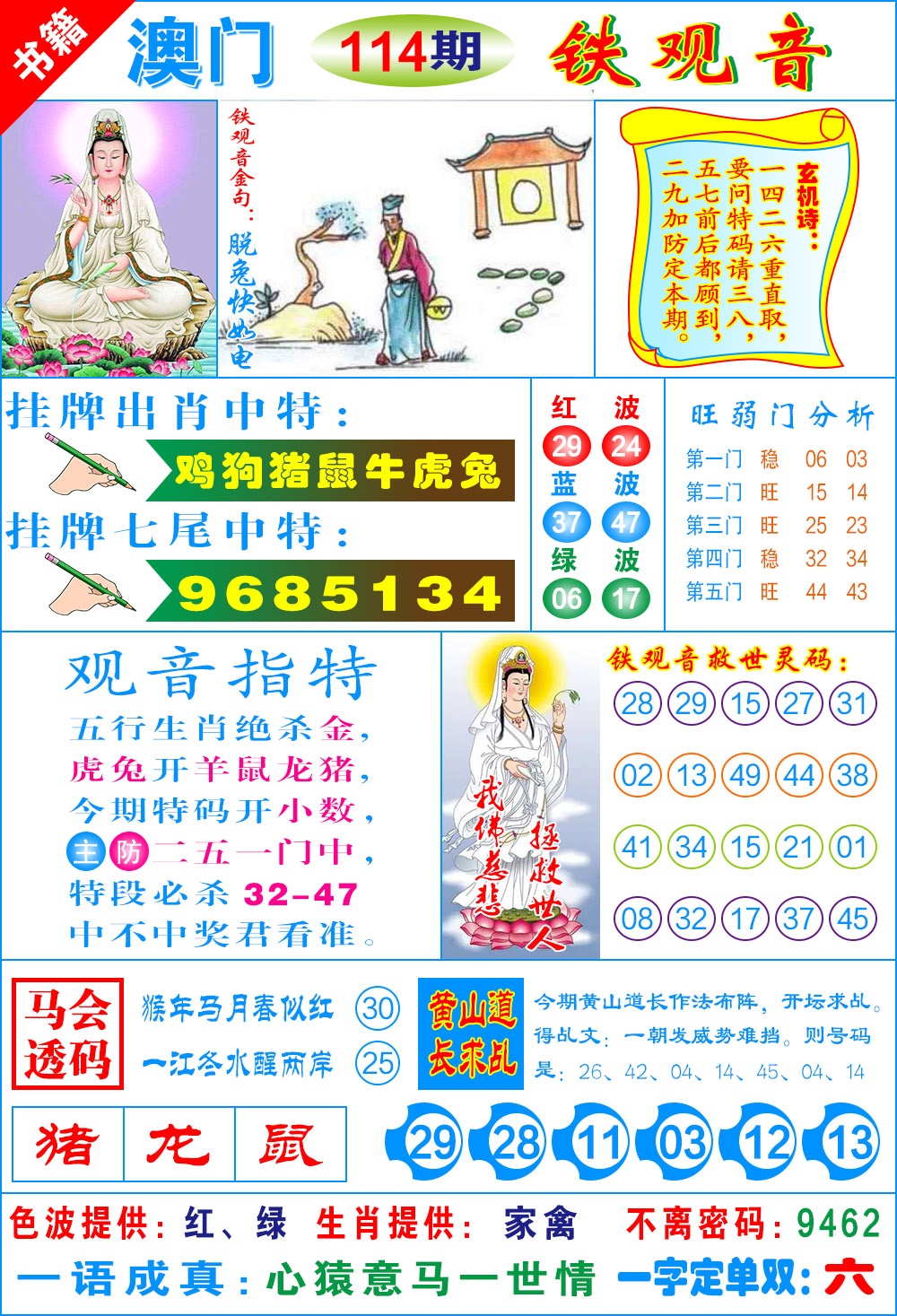 114期澳门铁观音[图]