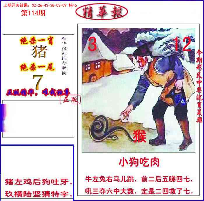 114期新精华报报[图]