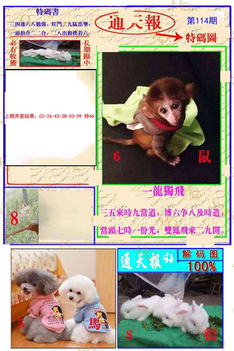 114期通天特解图[图]