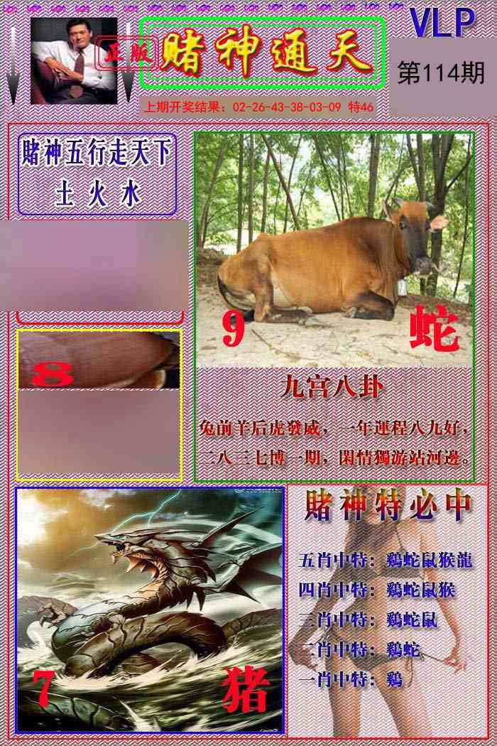 114期赌神通天报[图]