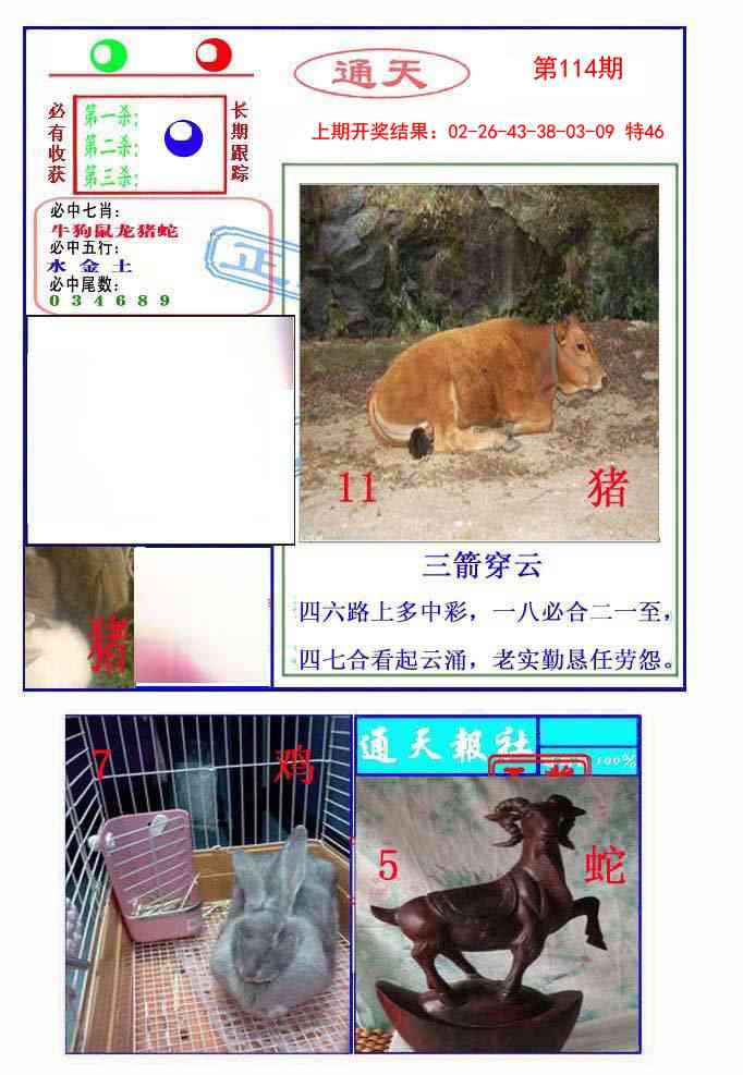 114期通天杀波图2[图]