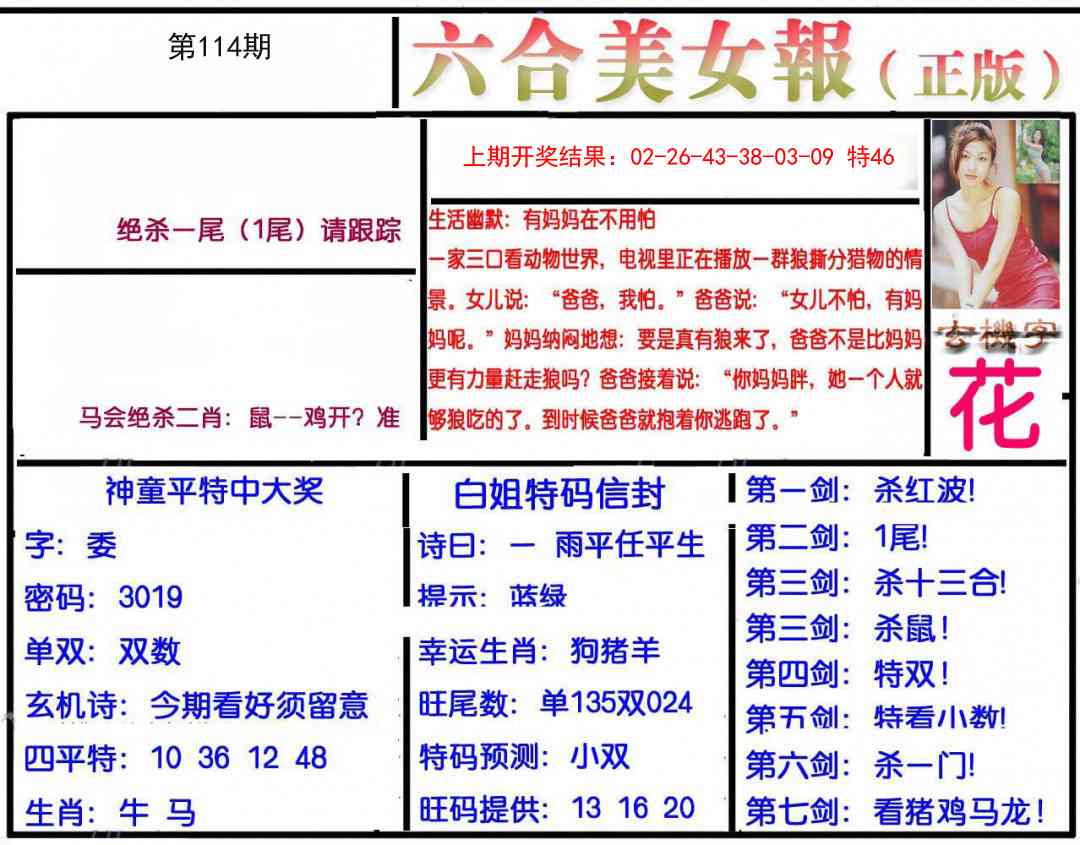 114期美女报[图]