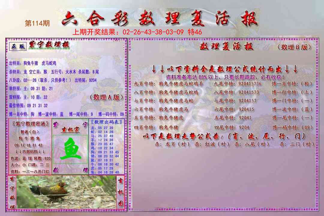 114期数理复活报[图]