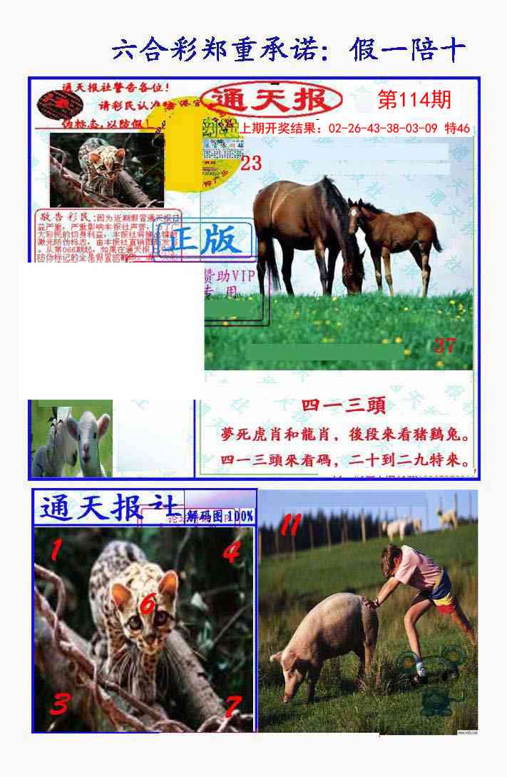 114期假一陪十通天报[图]