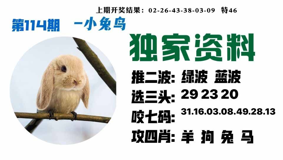 114期小兔鸟[图]