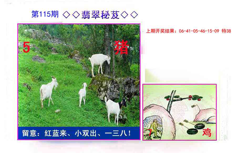 115期翡翠报[图]