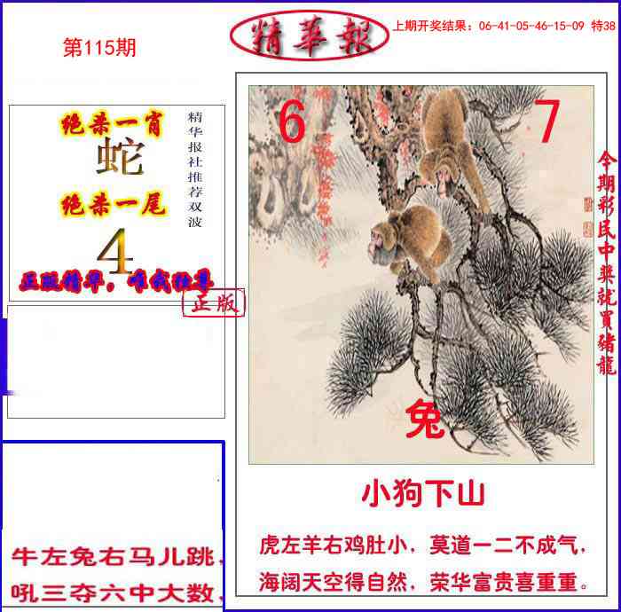 115期新精华报报[图]