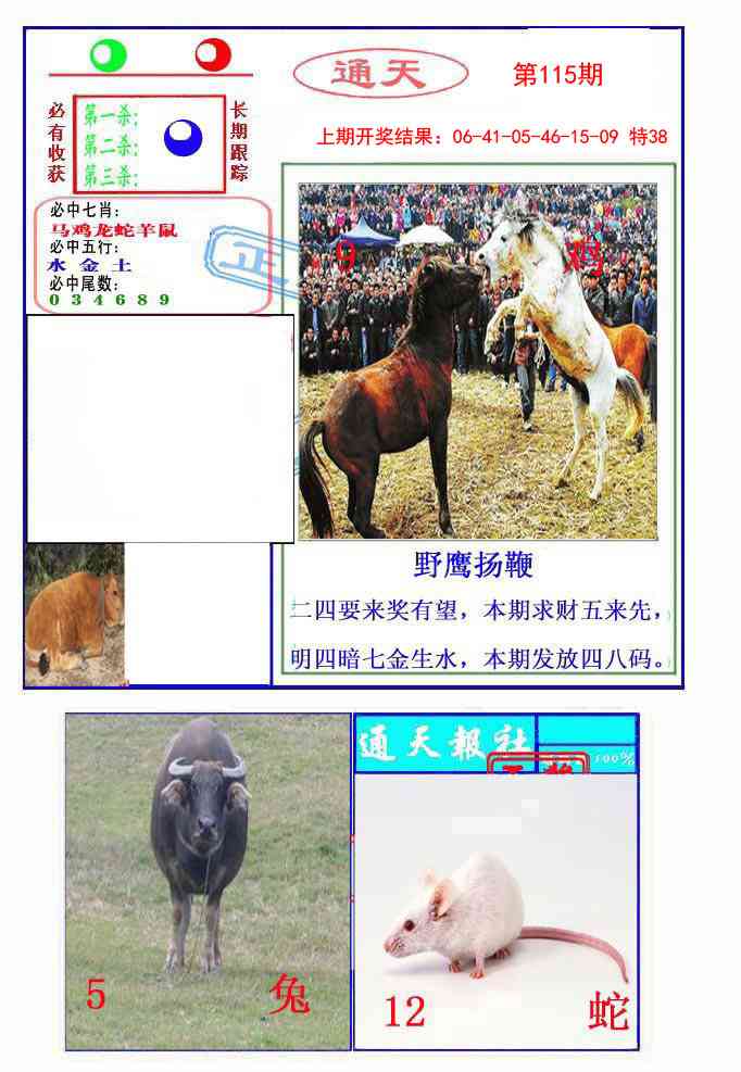 115期通天杀波图2[图]