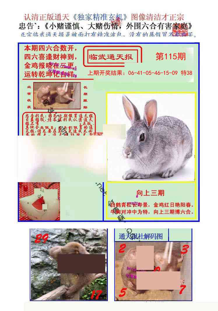 115期临武通天报[图]