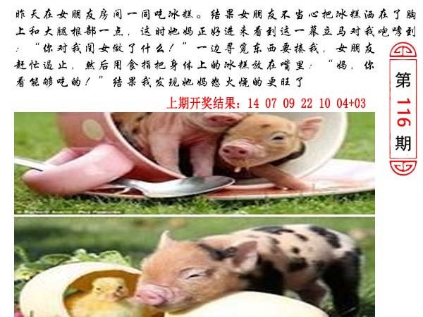116期澳门生活幽默[图]