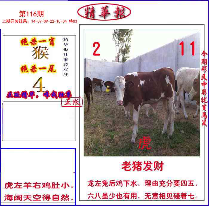 116期新精华报报[图]