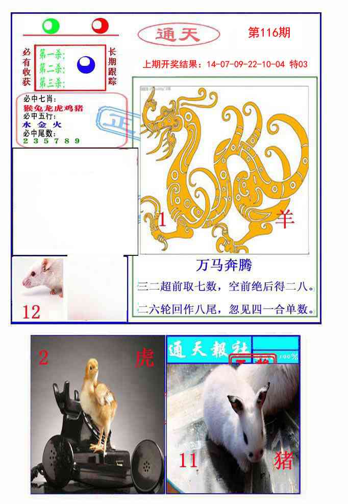 116期通天杀波图2[图]