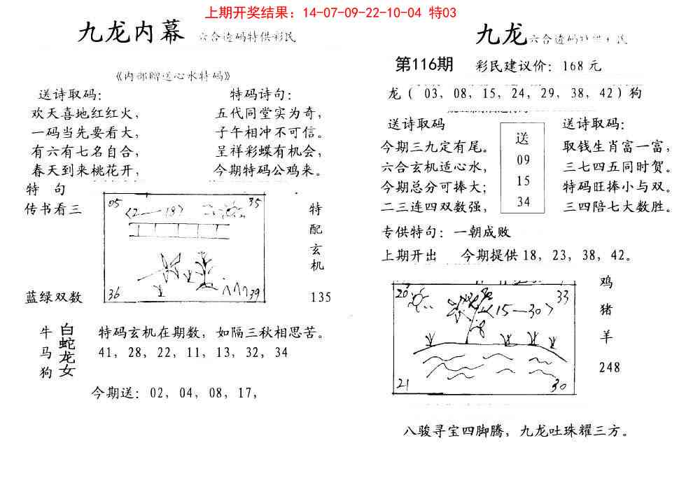 116期九龙内幕[图]