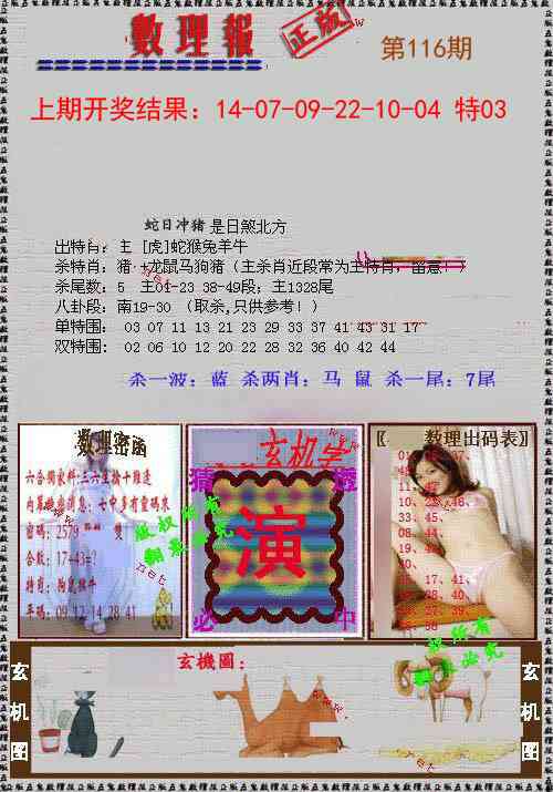 116期数理报[图]