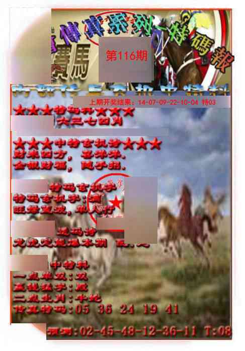 116期马会传真-特码报[图]