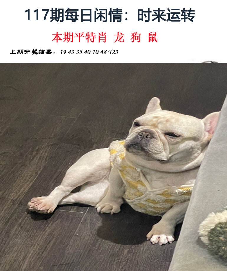 117期每日闲情[图]