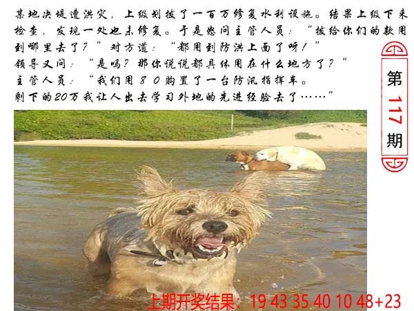 117期澳门生活幽默[图]