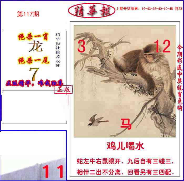 117期新精华报报[图]