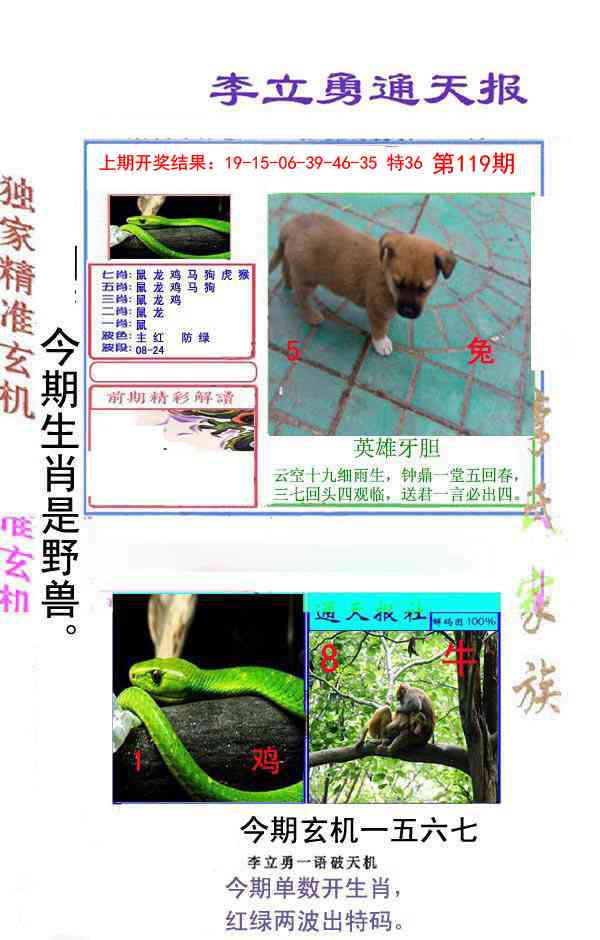 119期李立勇通天报[图]