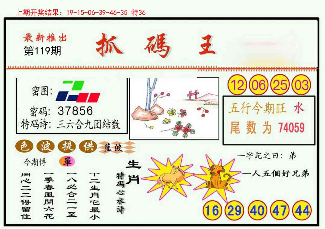 119期抓码王[图]