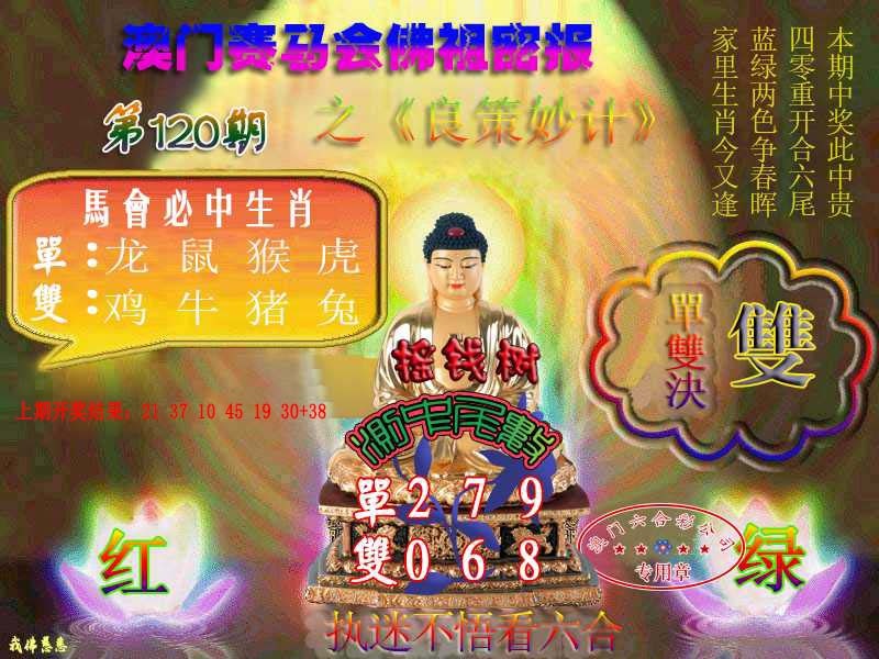 120期佛主密报-莲花双宝[图]