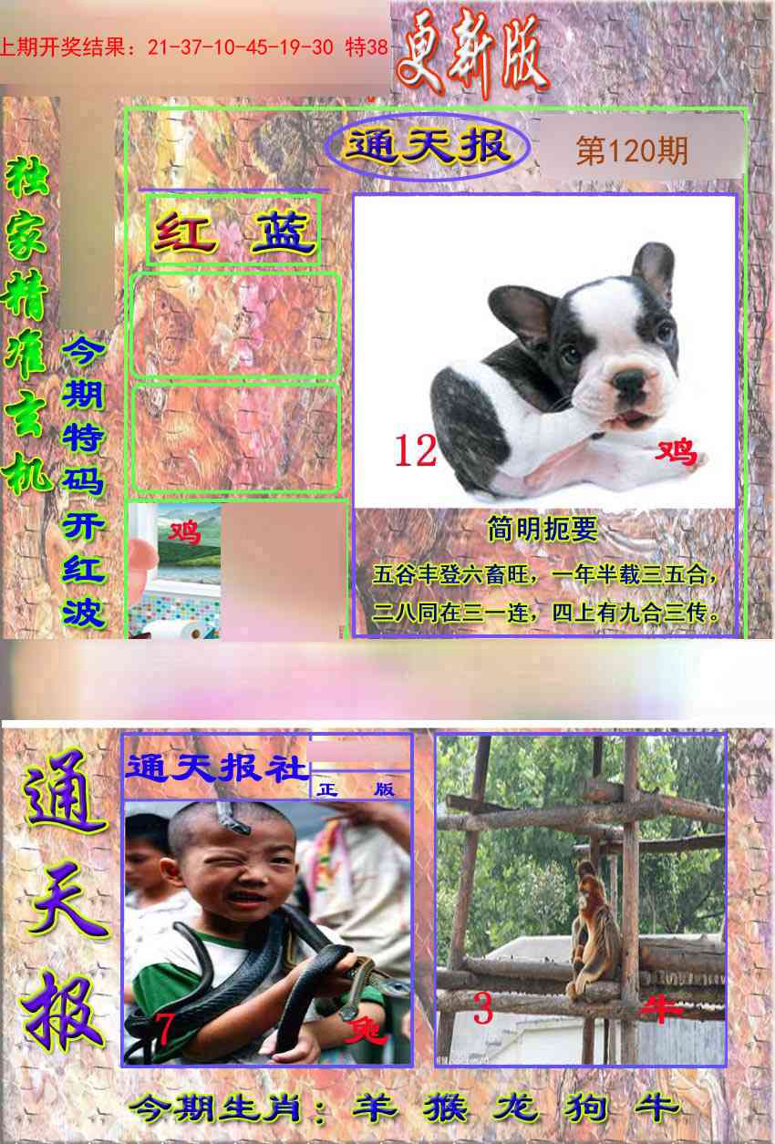 120期新通报[图]