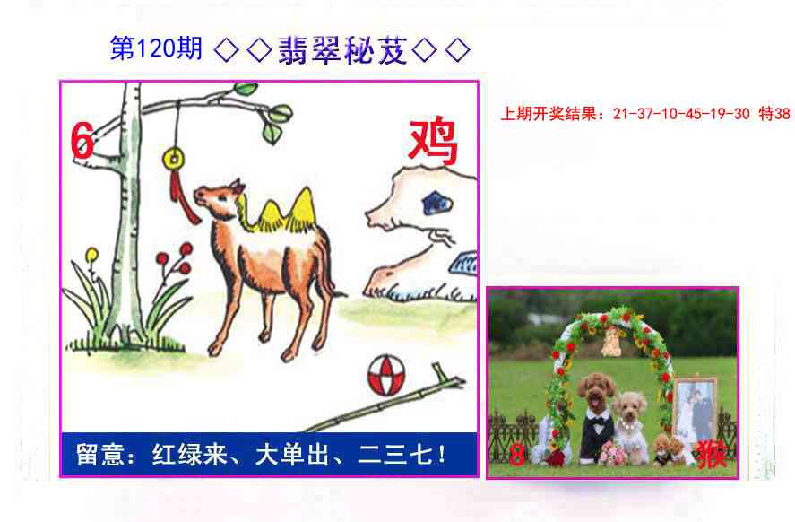 120期翡翠报[图]