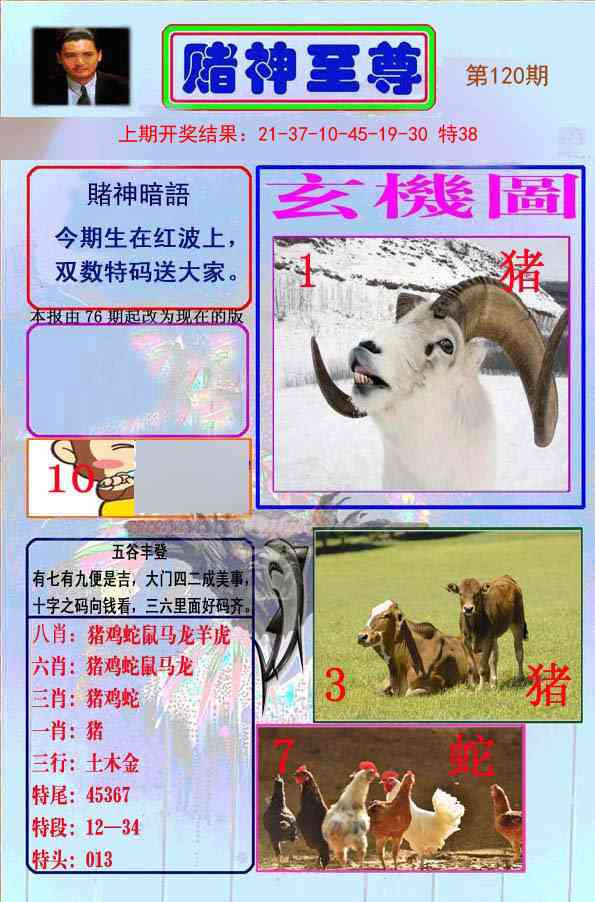 120期赌神至尊[图]